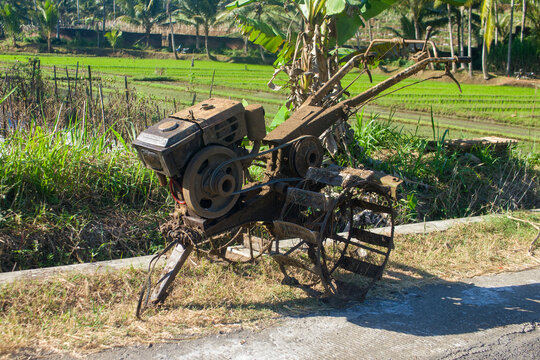 An old, muddy hand tractor parked by the side of a green rice field under daylight.