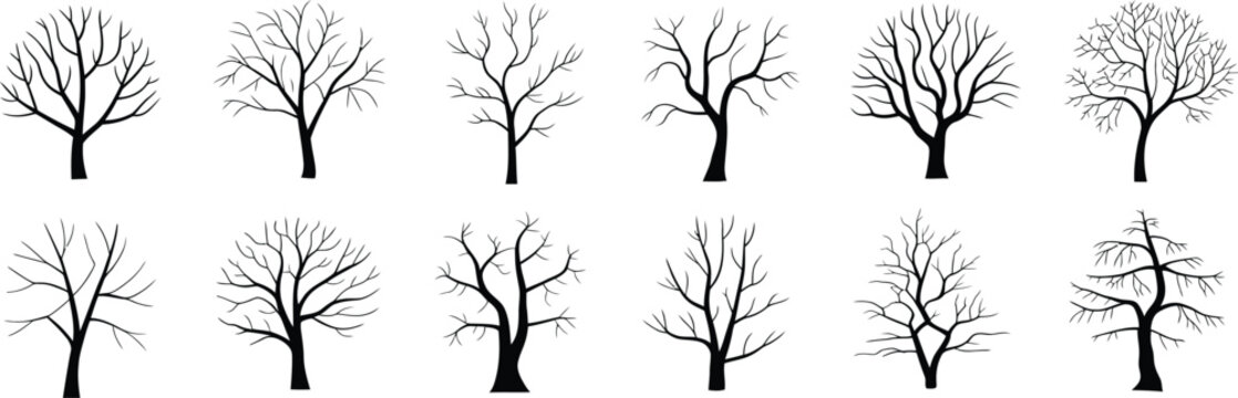 Bare Tree Silhouettes Winter Branches Collection on White Background vector illustration