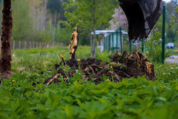 Fototapeta premium A pile of uprooted roots and soil sits near a community plot fence as an excavator bucket hovers to the right, captured at ground level during overcast spring daylight.