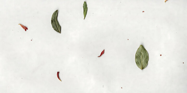 Pressed green leaves and red petals scattered on a pristine white surface, natural botanical elements