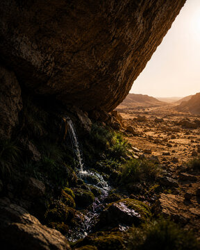 Hidden spring flowing beneath a desert rock overhang