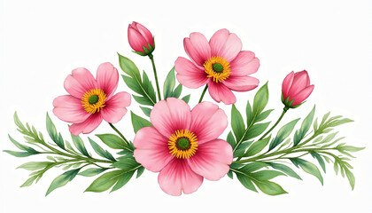 Obraz premium Pink Cosmos Flowers With Green Foliage Watercolor Illustration