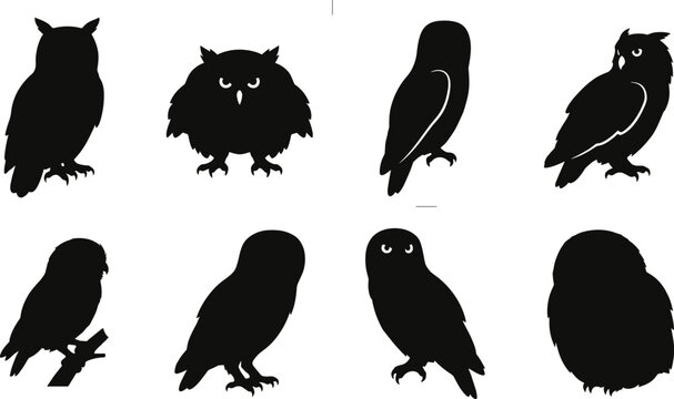 Silhouette illustration of owls in varied postures highlighting species diversity and distinctive features