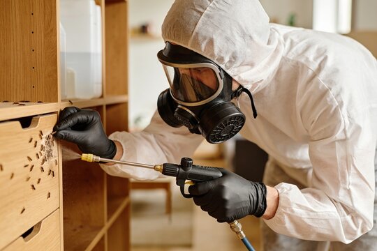 A pest control professional in a white hazmat suit and mask sprays an infested wooden cabinet drawer.