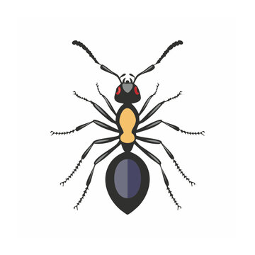 Flat design illustration of an ant