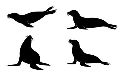 a collection of silhouettes of sea lions in various poses, including swimming and sitting.  © Soepras