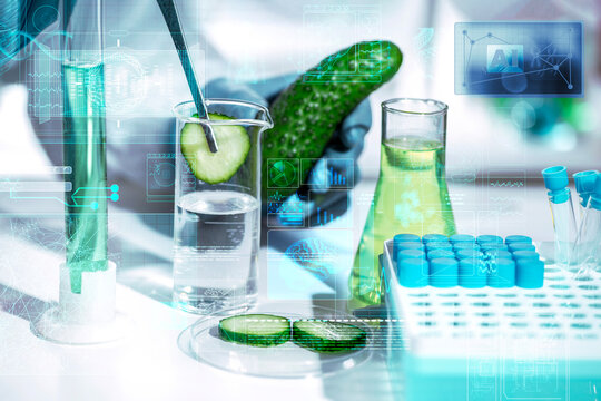 Fresh cucumber slice tested in a beaker in a smart food lab; AI holographic overlay and analytics support rapid screening, traceability, residue detection, and quality control.
