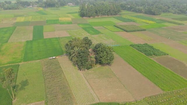 Aerial View of Patchwork Farmland with Green Fields and Hedgerows Under Soft Daylight for Agriculture Planning Concept