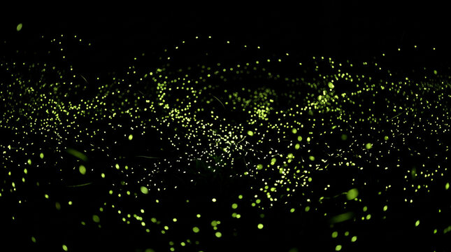 Fireflies glow with a soft yellow light in the darkness to create a magical and enchanting night scene.