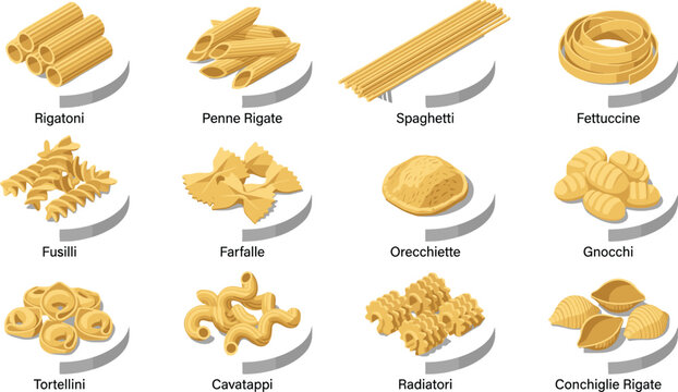 Italian pasta types collection featuring rigatoni, penne, spaghetti, fettuccine, fusilli, farfalle, gnocchi, tortellini, and other traditional pasta varieties