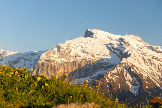 Fr&uuml;hling am Titlis, Zentralschweiz
