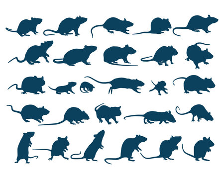 Rat and Mouse Silhouettes Collection Vector Set