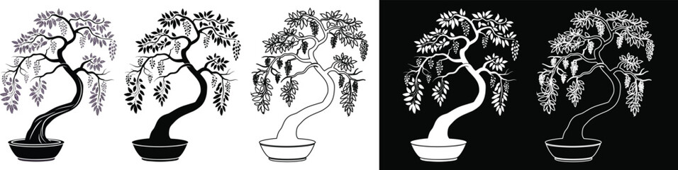 Bonsai tree with hanging seed pods in a pot vector silhouette and line art outline variations © Md