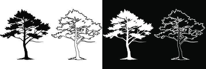 Vector silhouette and outline of an old pine tree in black and white variations © Md