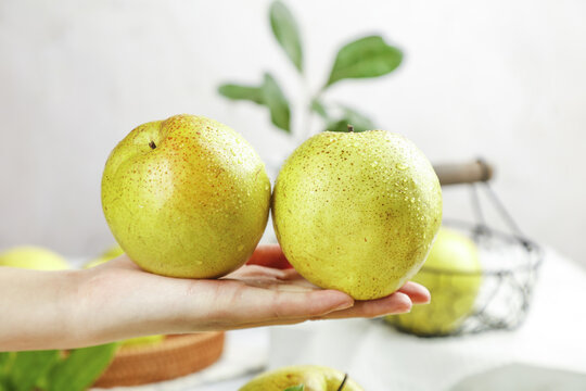 Fresh Yellow Pears in Hand, Shanxi Organic Produce