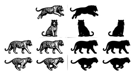 Fototapeta premium Cat, Tiger and Lion Silhouettes in Black and White, Detailed Ink Style Drawing for Animal Concept Design