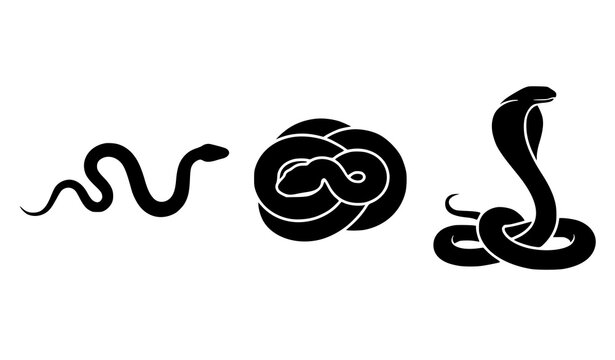 Black Snake Silhouette Vector Set with Crawling Coiled and Raised Serpent Poses Isolated on White Background