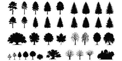 Set of various black tree silhouettes including pine oak maple and willow trees for nature design ©  creative  marlia
