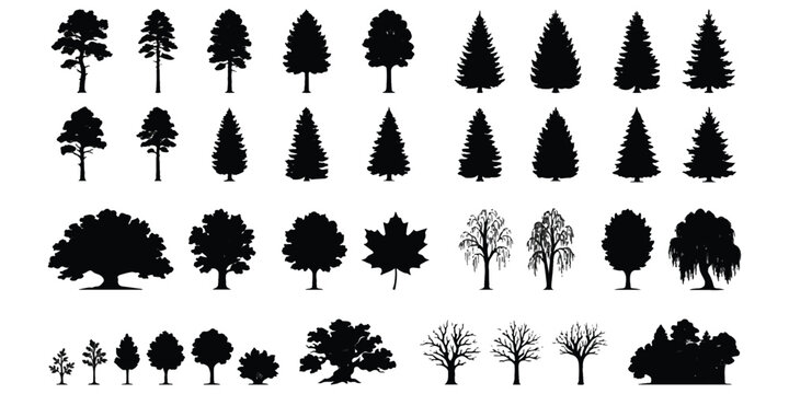 Set of various black tree silhouettes including pine oak maple and willow trees for nature design