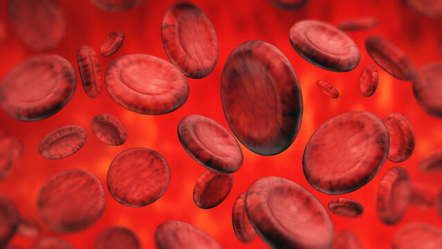 Red blood cells flowing inside the vein. 3D illustration