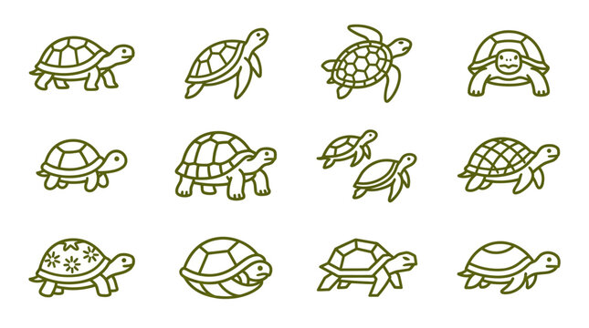 Turtles and tortoises are shown in various poses and k (44) line styles.