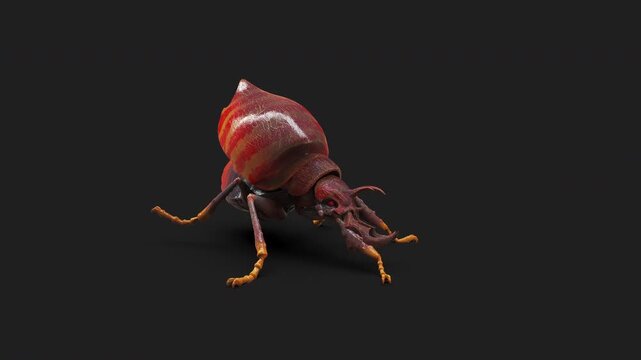 Detailed 3D rendered illustration of a dangerous fantasy beetle monster with red stripes and large mandibles, isolated on a black background. Ideal for gaming, RPG, and fantasy concepts.