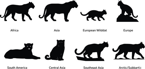 Set of Wild Cat Silhouettes Representing Different Geographic Regions Including Africa, Asia, and Europe © HASINA