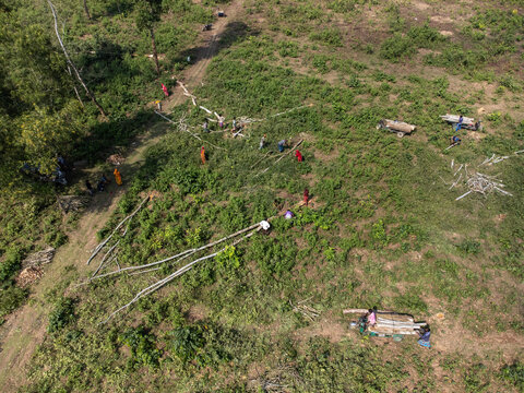 Sherpur, Bangladesh - 08 November 2025: Aerial view of people working in a rural clearing, cutting and moving timber logs amidst green vegetation and dirt trails.