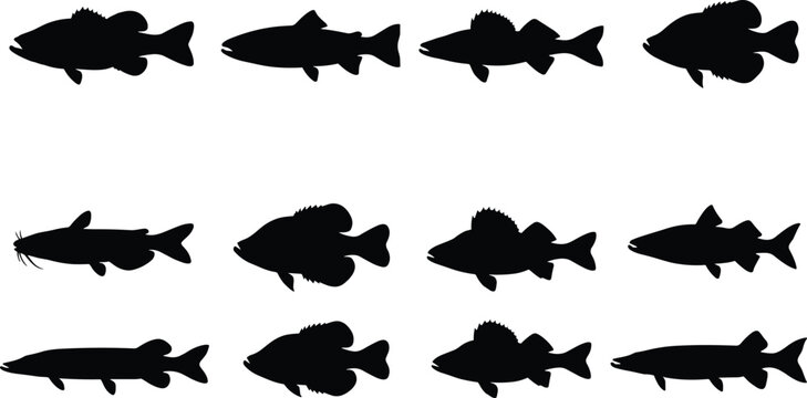 Freshwater Sport Fish Silhouette Set with Bass Pike Walleye and Catfish