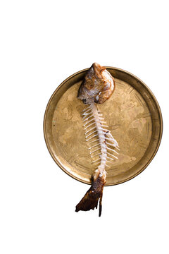 Fish bones