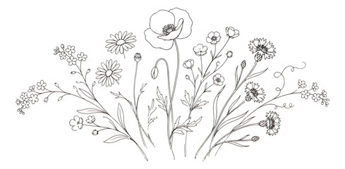 Wildflower line art bouquet vector, hand drawn botanical meadow flowers illustration, minimalist black and white floral border for wedding invitations © chasad