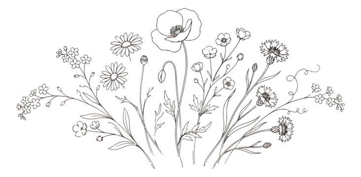 Wildflower line art bouquet vector, hand drawn botanical meadow flowers illustration, minimalist black and white floral border for wedding invitations