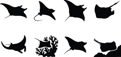 Manta Ray and Stingray Silhouette Collection for Marine Wildlife Design © Hello World