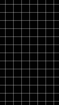 White grid lines on black background graph paper. White grid lines for architectural or technical drawing. White grid lines animation for mathematical coordinate system.