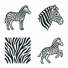 Obraz premium Set of black and white zebra illustrations on white background
