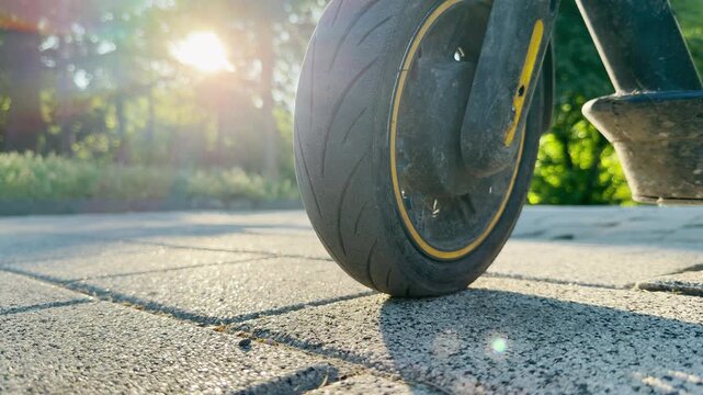 An electric scooter wheel rests on a paved path in Simferopol, Crimea. The bright morning sun shines through the park trees. It feels peaceful, warm, and full of fresh energy.