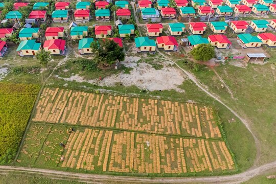Joygonj, Bangladesh - 17 June 2026: Aerial view of rows of small houses with vibrant red and green roofs next to a field where harvested crops are laid out to dry in Joygonj.