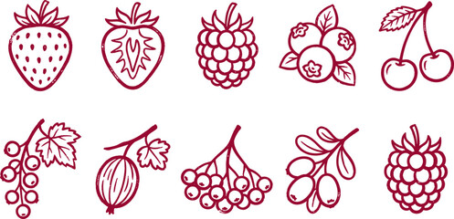 Hand drawn berry line art icons set strawberry, raspberry, blueberry, cherry, currant, gooseberry outline doodles © Shamim