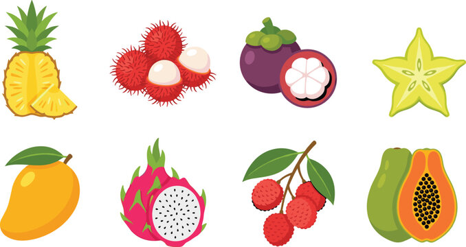 Tropical fruits collection with flat vector icons of pineapple mangosteen rambutan dragon fruit papaya and mango