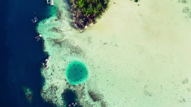 High-angle aerial shot showcasing a vibrant tropical reef flat featuring a perfectly circular blue hole adjacent to a deep ocean drop-off and a wide white sandbar