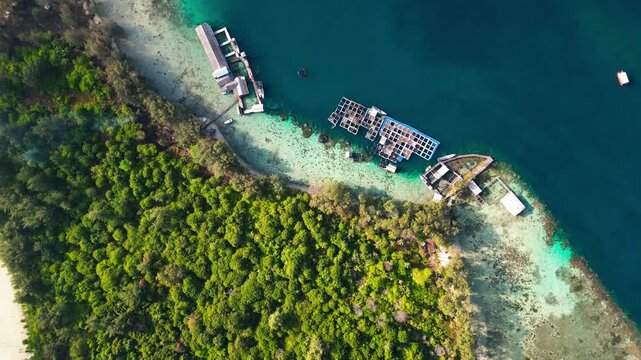 Top-down aerial view of a curved tropical island  coastline covered in dense green forest, featuring floating fish cages and coastal docks over crystal-clear turquoise reef water in Karimunjawa Island
