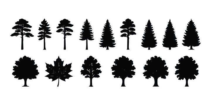 Set of black tree silhouettes including pine fir oak and maple leaves for forest design projects
