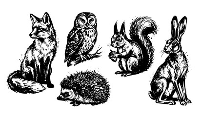 Fototapeta premium Forest Animals and Birds Vintage Charcoal Ink Vector Collection