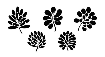 Obraz premium Black Silhouette Leafy Branches - Organic Botanical Vector Graphics