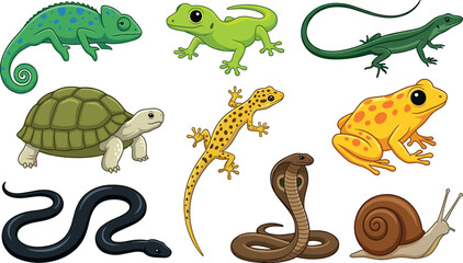 Cute cartoon reptiles and amphibians vector collection with lizard snake turtle frog snail gecko chameleon isolated design elements © RAJU