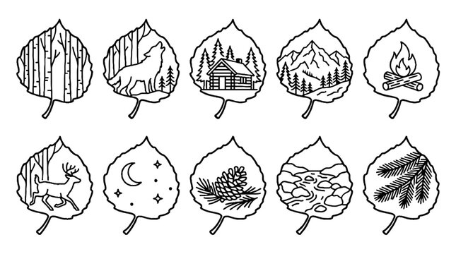 Collection of nature and wilderness illustrations inside aspen leaf silhouettes in black line art style.