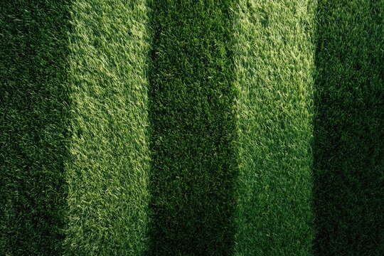Closely cropped view of neatly mowed green turf with distinct light and shadow stripes