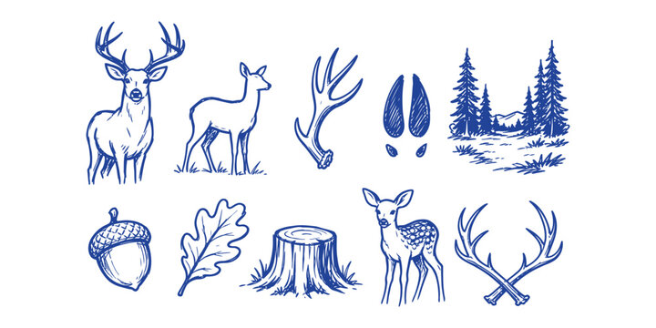 deer hunting elements and forest wildlife doodle icon set with buck doe antler hoof print pine woods acorn oak leaf tree stump and fawn vector illustration