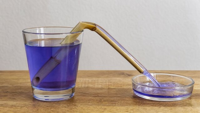 siphon. Hollow reed demonstrating siphon principle with water flowing through. STEM education sheets, lab safety posters, designed for STEM education and laboratory safety posters.
