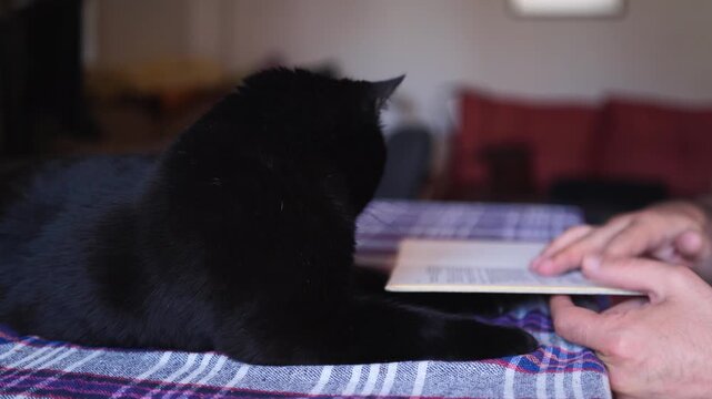 A man is turning a page of a book and reading while the black cat is keeping him company on the table